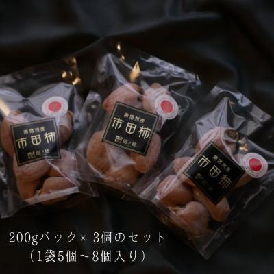 ふるさと納税 飯田市 【2026年分先行受付】南信州産　市田柿600g |  | 01