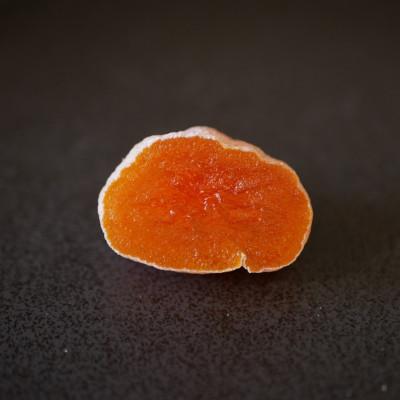 ふるさと納税 飯田市 【2026年分先行受付】南信州産　市田柿600g |  | 02