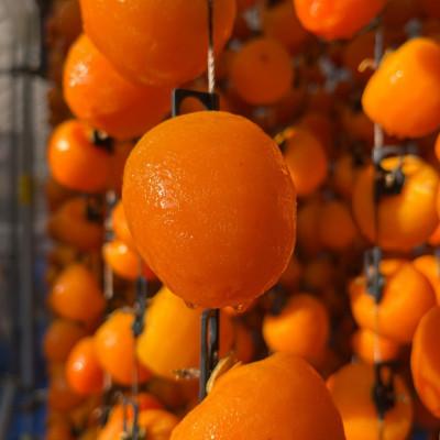 ふるさと納税 飯田市 【2026年分先行受付】南信州産　市田柿600g |  | 03
