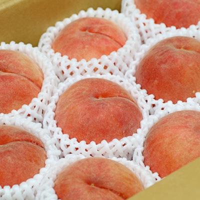 ふるさと納税 中野市 【2026年発送】フルーツ王国 長野県信州直送「旬な桃」 あかつき 約2kg(4〜8玉)の画像