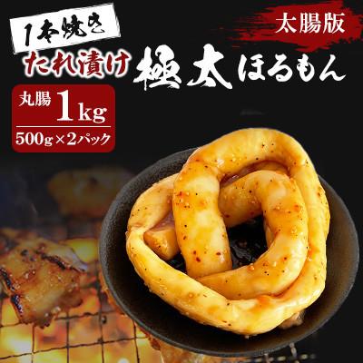 ふるさと納税 北九州市 1本焼き たれ漬け極太ほるもん 太腸版 500g×2パック(1kg)