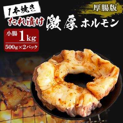 ふるさと納税 北九州市 1本焼き たれ漬け激厚ホルモン 厚腸版(500g×2パック)1kg