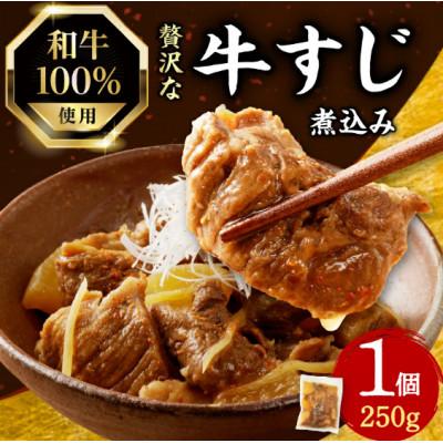 ふるさと納税 木津川市 和牛100%の贅沢なすじ煮込み 250g×1個