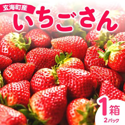 ふるさと納税 玄海町 [予約受付]平川いちご農園 佐賀県玄海町産「いちごさん」1箱[D024]
