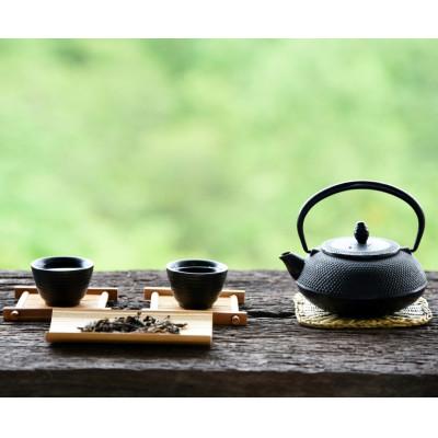 ふるさと納税 大川市 八女茶【特上】煎茶セット 100g×2袋(大川市