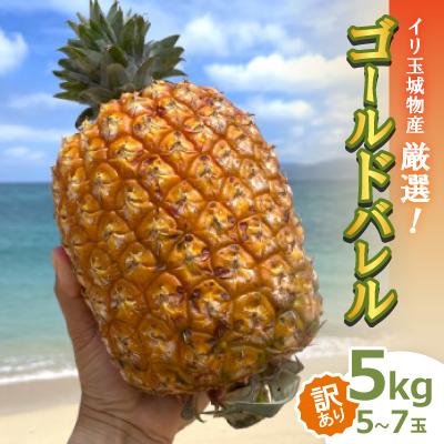 ふるさと納税 名護市 [2026年7月中旬から順次発送・訳あり]イリ玉城物産が厳選したゴールドバレル5kg(5玉〜7玉)