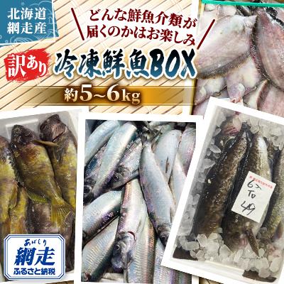ふるさと納税 網走市 【訳あり】網走産冷凍鮮魚BOX〜未利用魚の有効活用(漁業生産者応援企画) | 