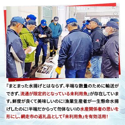 ふるさと納税 網走市 【訳あり】網走産冷凍鮮魚BOX〜未利用魚の有効活用(漁業生産者応援企画) |  | 02