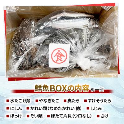 ふるさと納税 網走市 【訳あり】網走産冷凍鮮魚BOX〜未利用魚の有効活用(漁業生産者応援企画) |  | 03