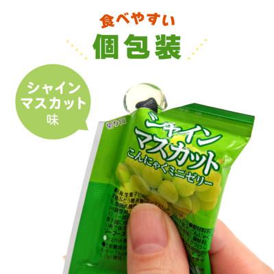 ふるさと納税 甘楽町 こんにゃくパーク「お得用こんにゃくミニゼリー