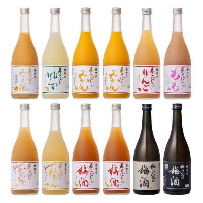 ふるさと納税 葛城市 あらごしシリーズと梅酒720mL 12本セット