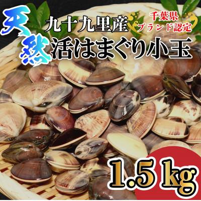 ふるさと納税 山武市 天然活はまぐり小玉[ぜんな]1.5kg|千葉県九十九里産
