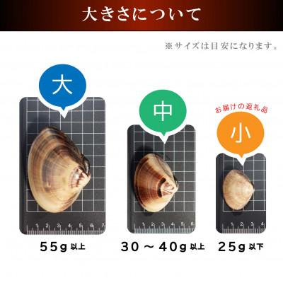 ふるさと納税 山武市 天然活はまぐり小玉【ぜんな】1.5kg|千葉県九十九里産 |  | 02