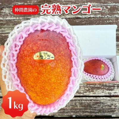 ふるさと納税 宜野座村 [2026年6月から順次発送]甘みと酸味が絶妙なバランスの仲間農園の完熟マンゴー1kg