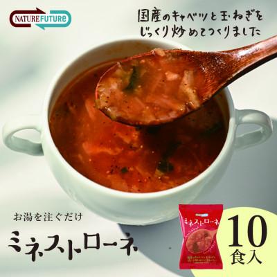 ふるさと納税 三田市 『NATURE FUTURe』フリーズドライ ミネストローネ 10食