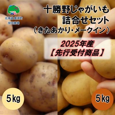ふるさと納税 豊頃町 十勝野じゃがいも詰合せセット10kg(きたあかり・メークイン)[2025年産]先行受付[按田農場]
