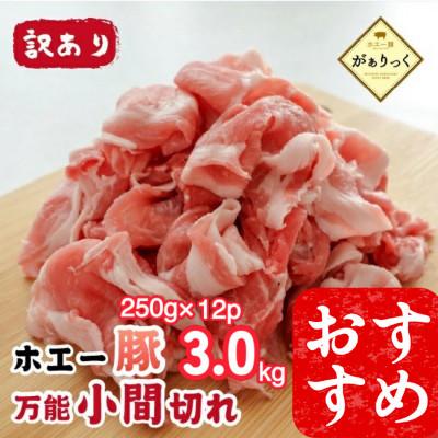 ふるさと納税 小林市 [訳あり]宮崎県産ホエー豚小間切れ 3kg(DAS082)