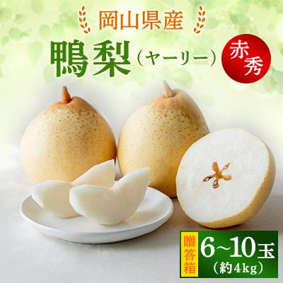 ふるさと納税 浅口市 ヤーリー4kg贈答箱 6〜10玉 (YR-40)