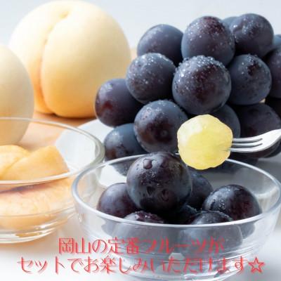 ふるさと納税 岡山市 【2027年発送】岡山県産白桃・ピオーネ詰合せ(白桃晩生種2玉・ニューピオーネ1房)合計約1.0kg |  | 01