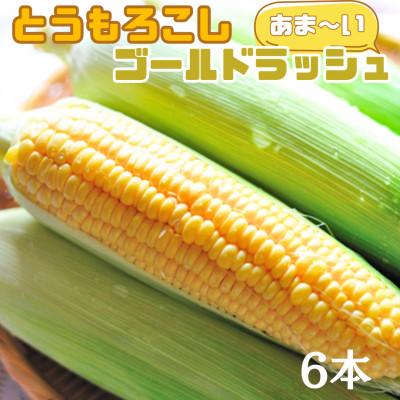 ふるさと納税 中央市 [2026年発送先行受付]山梨県産とうもろこし ゴールドラッシュ 6本