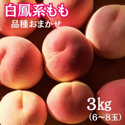 ふるさと納税 中央市 [2026年発送先行受付]山梨県産白鳳系もも 3kg(6玉〜8玉) 品種おまかせ