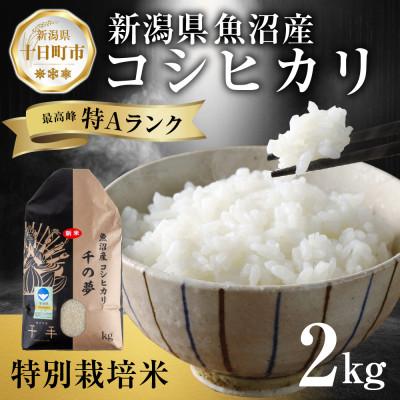 ふるさと納税 十日町市 魚沼産 コシヒカリ 特別栽培米 精米 2kg 産地直送 新潟県十日町市