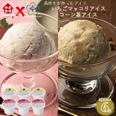 ふるさと納税 錦町 球磨中央高校 高校生が作った いちごマッコリアイス コーン茶アイス 各3コ 計6コ [市房食堂]
