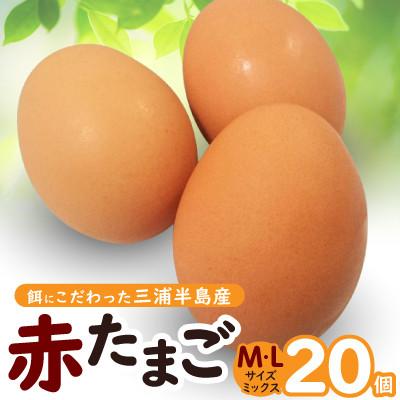 ふるさと納税 横須賀市 餌にこだわった三浦半島産赤たまご 20個(サイズ:L・Mミックス)