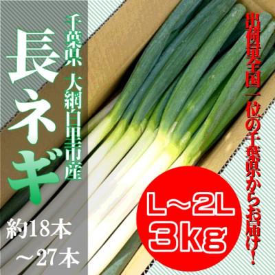 ふるさと納税 大網白里市 千葉県大網白里市産 長ネギ L〜2Lサイズ 3kg(約18本〜27本)[令和7年12月以降順次発送]