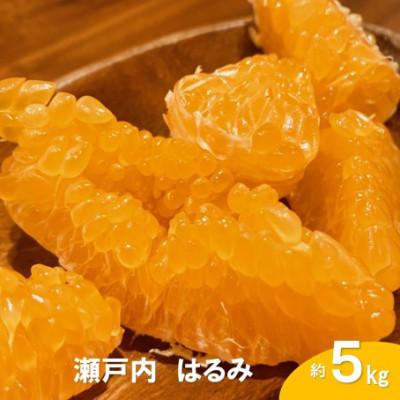 ふるさと納税 大崎上島町 [2月発送] 瀬戸内 はるみ 約5kg(30個程度)