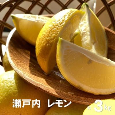 ふるさと納税 大崎上島町 [1月〜4月発送] 瀬戸内レモン 約3kg(30個程度)