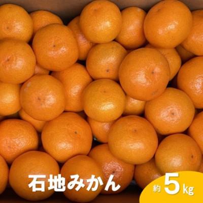 ふるさと納税 大崎上島町 [先行受付][2025年12月発送]瀬戸内 石地みかん 約5kg(約50個前後)