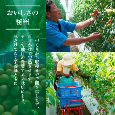 ふるさと納税 土佐市 高知県産 訳あり フルーツトマト 1kg 糖度 8度以上 |  | 02
