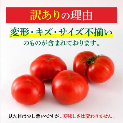 ふるさと納税 土佐市 高知県産 訳あり フルーツトマト 1kg 糖度 8度以上 |  | 03