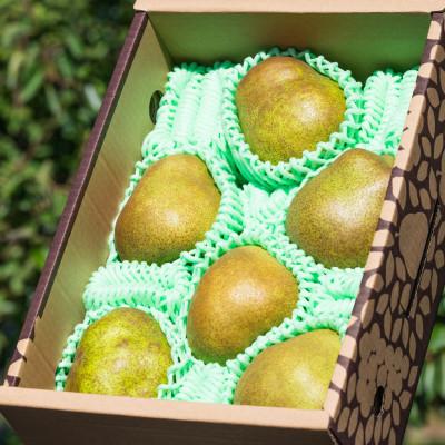 ふるさと納税 寒河江市 2026年予約分 【GI登録品】特秀品「ラ・フランス」2kg 化粧箱入り(5〜9玉) |  | 01