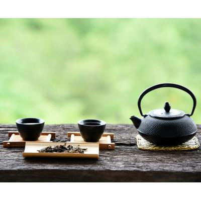 八女茶，緑茶(特上煎茶)750円5袋水出し煎茶3袋めめママです。 ふるさと納税 川崎町 八女茶【上】煎茶セット 100g×2袋(川崎町