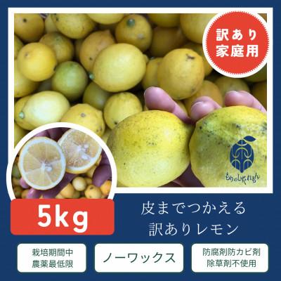 ふるさと納税 松山市 訳ありレモン瀬戸内愛媛県産 5kg | 