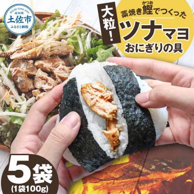 ふるさと納税 土佐市 鰹ツナパウチ 100g×5袋セット