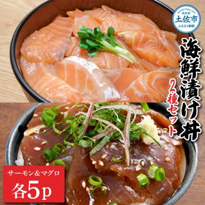 ふるさと納税 土佐市 土佐の海鮮漬け丼(サーモン・まぐろ)60g×各5袋セット 合計10袋