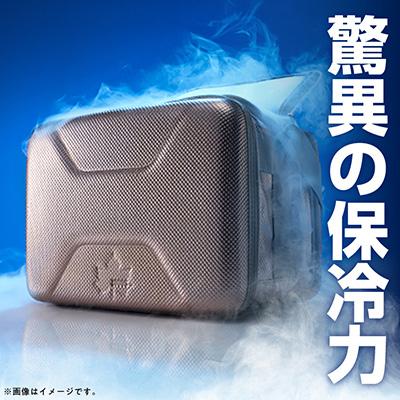 ふるさと納税 城陽市 ハイパー氷点下クーラー　M　ロゴスのクーラーボックス キャンプ、買い物、車にも　81670070 |  | 01