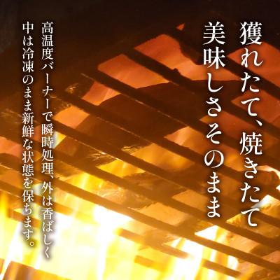 ふるさと納税 藤枝市 【訳あり】かつおのたたき 1kg　《たれ付》サイズ不揃い 小分けパック 新鮮 |  | 03