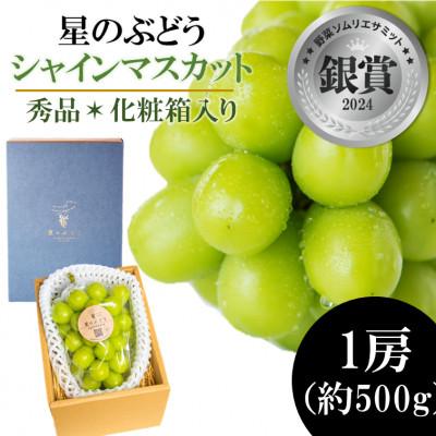 ふるさと納税 雲南市 令和8年夏発送 自然が育んだ 島根県産星のぶどうシャインマスカット1房500g[秀品化粧箱入り]