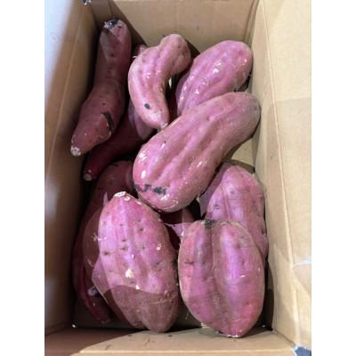 ふるさと納税 行方市 【訳あり】「行方かんしょ」さつまいも約10kg(約5kg箱×2箱)・C品(洗い・不揃い) |  | 01