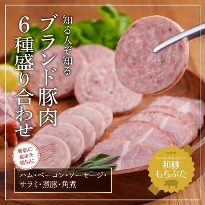 ふるさと納税 大河原町 もちぶた 加工肉 6種 詰め合わせ セット