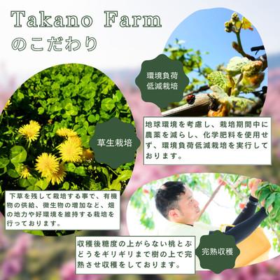 ふるさと納税 山梨市 【2026年発送】【贈答用】完熟収穫桃 約1kg 山梨県産 自社農園産直!の画像