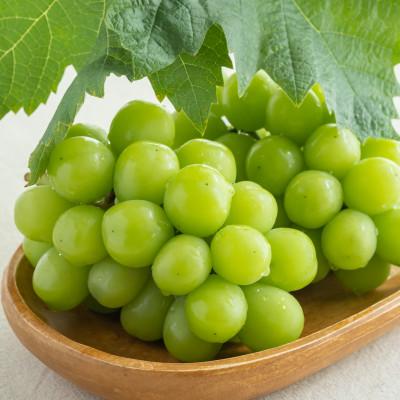 ふるさと納税 浜田市 [先行予約]根域制限栽培 シャインマスカット 約0.9kg 2〜3房[9月より順次発送]