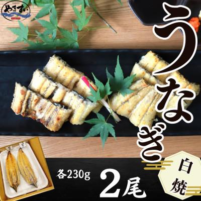 ふるさと納税 飯塚市 [寿司海鮮和食処 やますい]鹿児島産うなぎ白焼 2尾(合計約460g)(飯塚市)