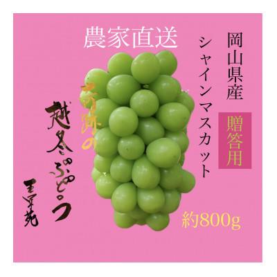 ふるさと納税 浅口市 奇跡の越冬ぶどう シャインマスカット 1房 (800g) 五果苑[贈答用]