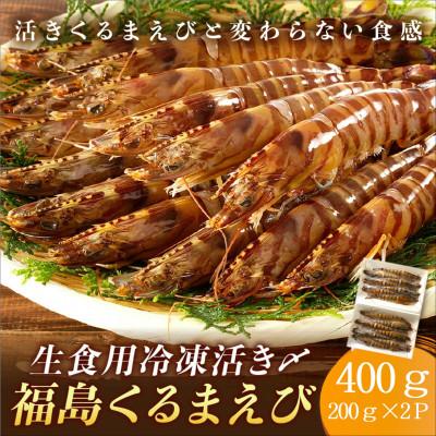 ふるさと納税 松浦市 生食用 瞬間冷凍活き〆福島くるまえび(200g×2P)