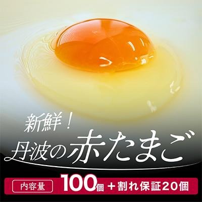ふるさと納税 舞鶴市 新鮮 丹波の赤たまご 100個(20個×5パック)+割れ保証20個